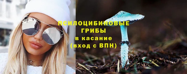гидропоника Михайлов