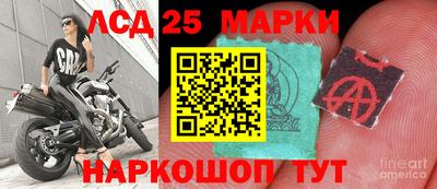 метадон Аргун