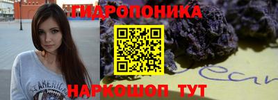 хмурый Гатчина