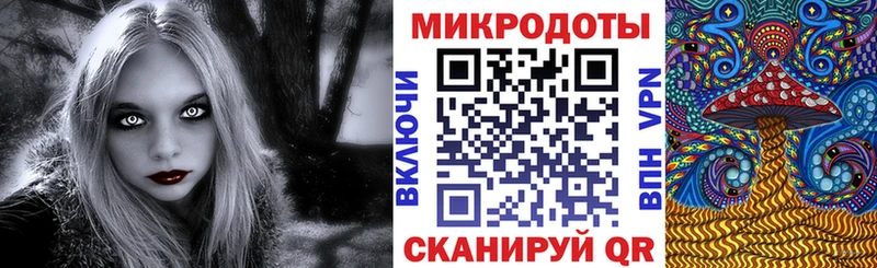 darknet телеграм  Елец  Галлюциногенные грибы Magic Shrooms 