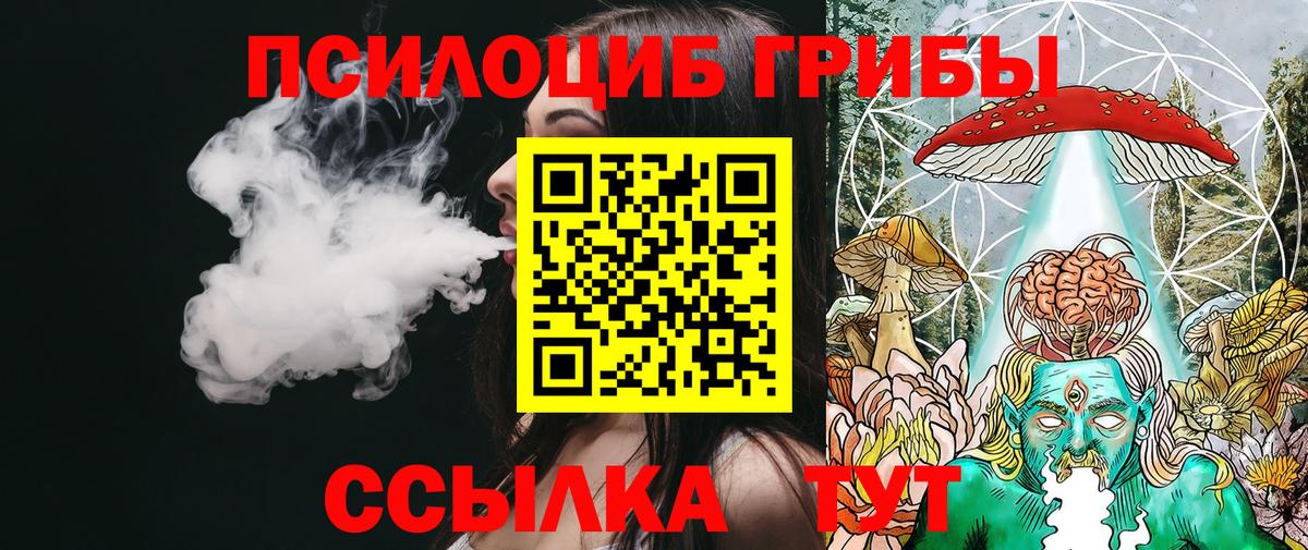 Псилоцибиновые грибы Cubensis Елец