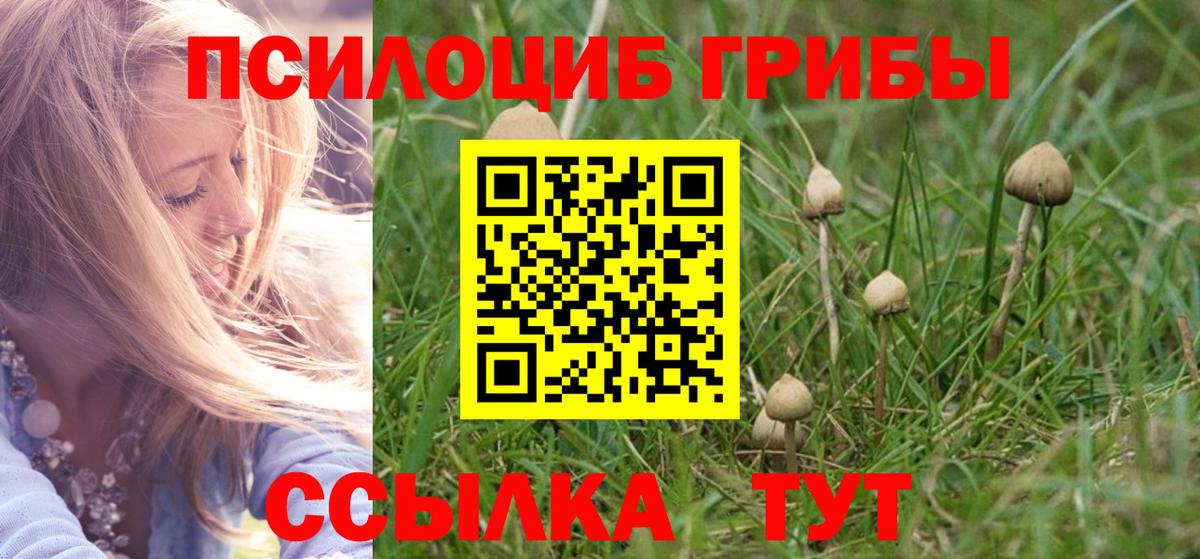 Галлюциногенные грибы Magic Shrooms  Галлюциногенные грибы GOLDEN TEACHER  Елец 