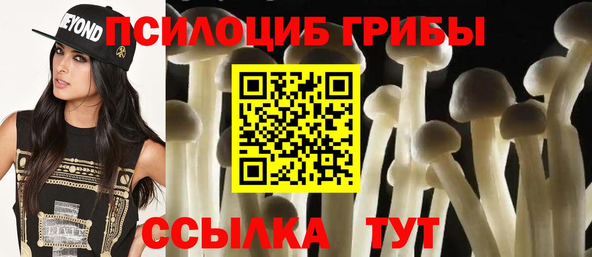 Галлюциногенные грибы прущие грибы Елец